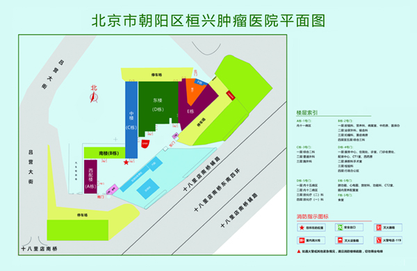 草逼视频草逼北京市朝阳区桓兴肿瘤医院平面图